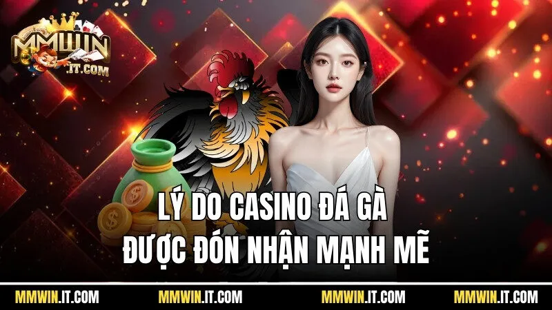 Lý do casino đá gà tại Mmwin được đón nhận mạnh mẽ